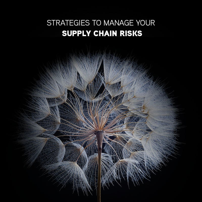 Cyber Supply Chain Risks Ad-17_800x800